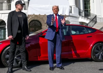 Musk Scales Back Role in Trump Administration as Tesla Profits Crash 70%